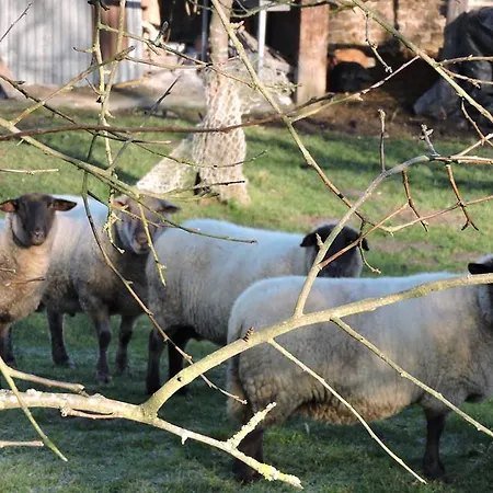 La Ferme De La Cote Les Damps