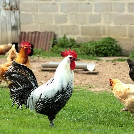 La Ferme De La Cote Casa de Férias